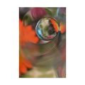 Trademark Fine Art Heidi Westum 'Floral Sphere' Canvas Art, 16x24 1X07960-C1624GG